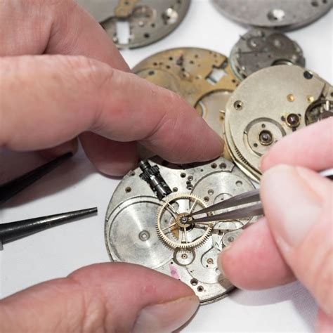 seiko watch repair tampa fl